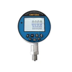 کالیبراتور فشار دیجیتال CWY300